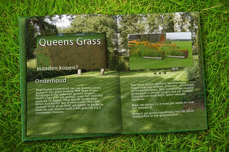 videobook-5inch-screen-Queensgrass