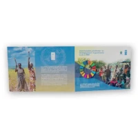 PNUD-videobrochure-visual-screenshot-opened-backside